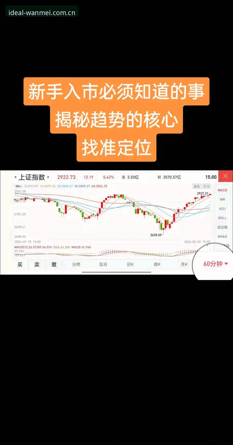 新手必看！完美体育最新版本完整使用心得与实战经验分享